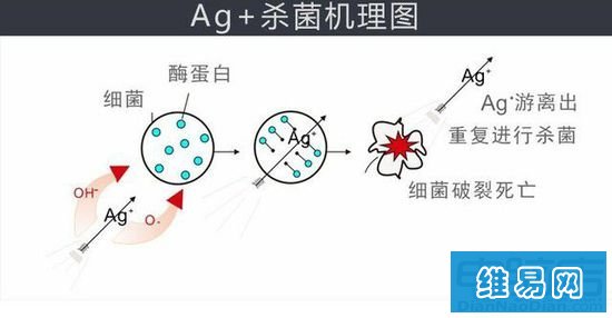 防菌手机屏幕? 别样显示“武装”进化录