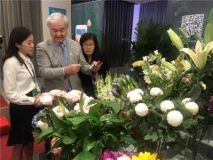 2019世园会进入一周年倒计时，QQ浏览器携手万科